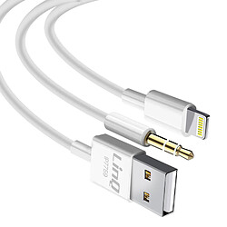 LinQ Câble iPhone 2 en 1 - 1,2m Blanc
