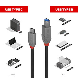 Acheter Lindy 36665 USB C/USB B 0,5 m