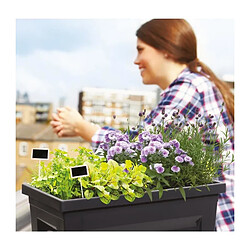 Avis EDA Plastiques EDA Espace Potager Veg & Table - Anthracite