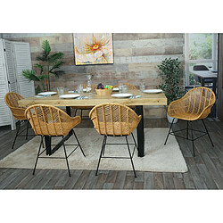 Mendler Lot de 6 Chaises HWC-M28 - Rotin Kubu