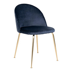 Epikasa Chaises Geneve Bleu Velours