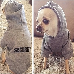 Vêtement pour chien