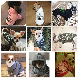 Avis Wewoo Vêtements de Pull avec Capuchon pour Chiens - XS