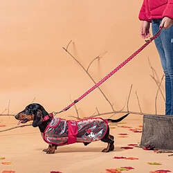 Avis Disney Minnie Mouse Imperméable pour chien - M rouge