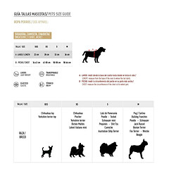 Acheter Disney T-shirt Disney Pride - Taille S - Blanc