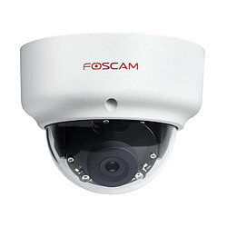 Foscam D2EP