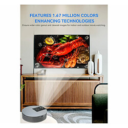 Blue Chilli Transjee S10