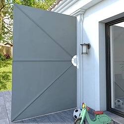Avis VIDAXL Auvent latéral pliable de terrasse 300 x 200 cm - Gris