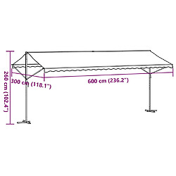 vidaXL Auvent autoportant - 600x300 cm - Bleu et blanc pas cher