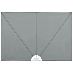 VIDAXL Auvent latéral pliable de terrasse 300 x 200 cm - Gris