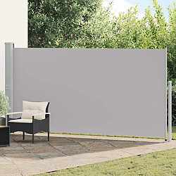 VIDAXL Auvent latéral rétractable - Gris/Vent 160 x 500 cm