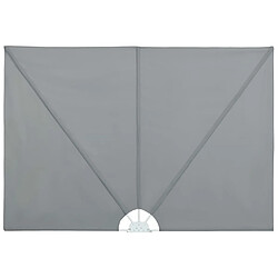 vidaXL Auvent latéral pliable 240x160 cm - Gris
