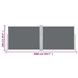 VIDAXL Auvent latéral rétractable - Anthracite pas cher
