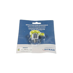 Sitram Régulateur pour robot multifonction - Vert