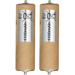 Panasonic accus rechargeables pour tondeuse