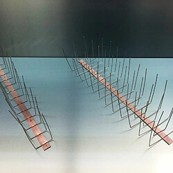 ich-zapfe Repulsif Pigeon Acier Inox V2A 4 Rangées Pics anti-pigeons - Acier inoxydable - 4 rangs - Haute qualité