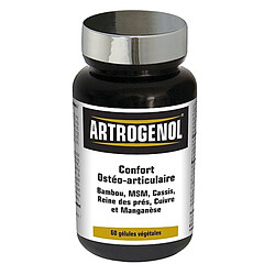 INELDEA Artrogenol Gélules Complexe Végétal