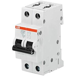 Abb S202M - 10 A, 2P, courbe C