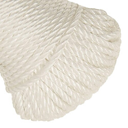 Acheter vidaXL Corde de travail Blanc 6 mm 500 m