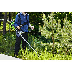 Greenworks débroussailleuse à batterie pas cher