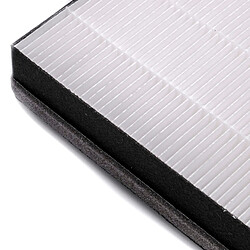 vhbw Filtre HEPA - Pour Philips FY2422/30