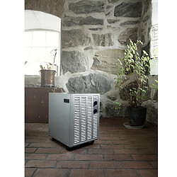 Woods Déshumidificateur SW42FM