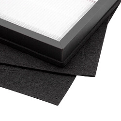 vhbw Filtres pour Rowenta Intense Pure Air PU2120