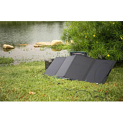 Acheter Ecoflow Panneau Solaire 110W Pliable avec Support Inclinable Noir
