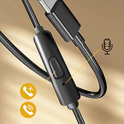 Acheter Avizar écouteurs USB-C - noirs