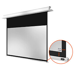Acheter Celexon Pro Plus - 16:9