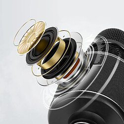 Acheter Linq Micro karaoké Bluetooth - Noir