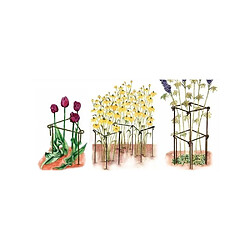 Avis Harrod Horticultural Support de Plantes en Acier (Lot de 6) 75 cm