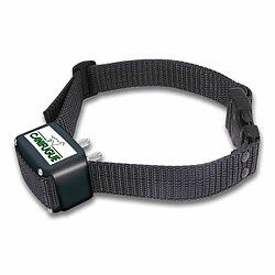 Num'Axes Numaxes Collier Supplementaire Canifugue