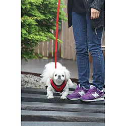 Puppia Harnais Royal Bleu pas cher