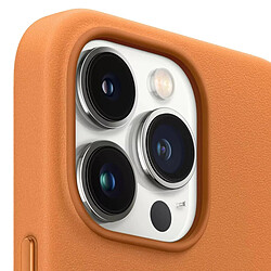 Apple iPhone 13 Pro Coque Leather MagSafe - Marron