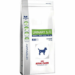 Friandise pour chien Royal Canin