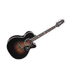 Takamine EF450C-TT