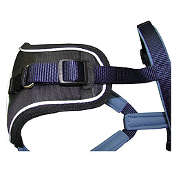 Equipement de transport pour chien
