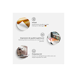 Acheter Artgeist Paons Dansant