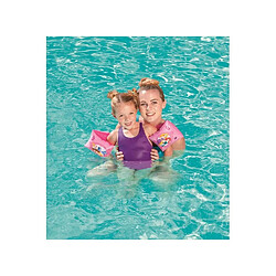 Disney Princess Brassards 23x15 cm