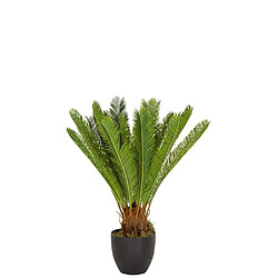 HJH OFFICE Cycas H 120 cm