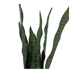 Décoration d'extérieur