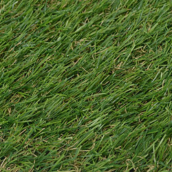 Avis Vidaxl Gazon artificiel 1x2 m 20 mm