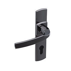 Vachette ensemble de porte Artis EA165