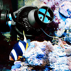 Tunze Turbelle Nanostream Noir