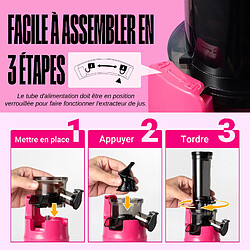 Ventray Essential Ginnie Rose Vif pas cher