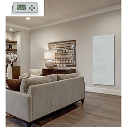 Acheter Carrera 1500W LCD