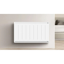 Avis Carrera Indiana