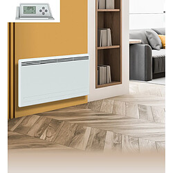 Acheter Carrera Moala 2000W