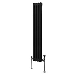 Monstershop Radiateur Traditionnel Double Colonne